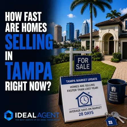 How Fast Are Homes Selling in Tampa Right Now?