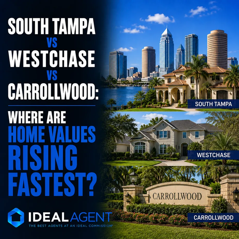 South Tampa vs. Westchase vs. Carrollwood: Where Are Home Values Rising Fastest?